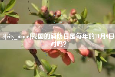 温州我国的消防日是每年的11月9日对吗？