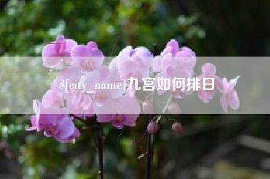 温州九宫如何排日