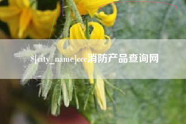 温州ccc消防产品查询网