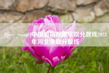 温州中国消防救援学院分数线2023年河北录取分数线