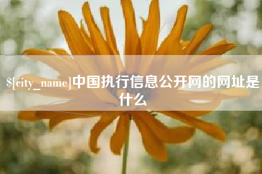 温州中国执行信息公开网的网址是什么