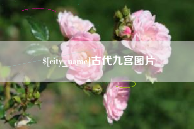 温州古代九宫图片