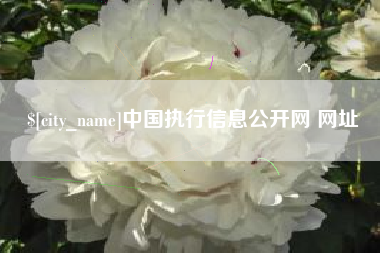 温州中国执行信息公开网 网址