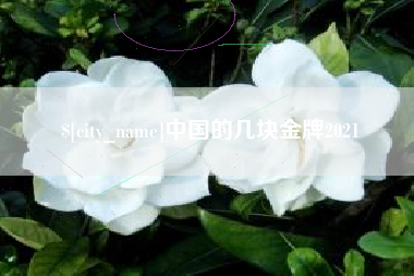 温州中国的几块金牌2021