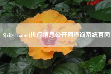 温州执行信息公开网查询系统官网