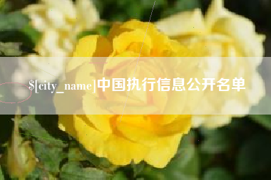 温州中国执行信息公开名单