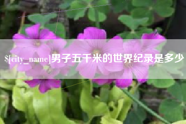 温州男子五千米的世界纪录是多少