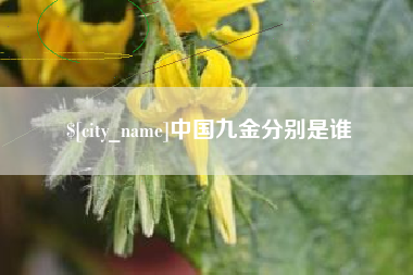 温州中国九金分别是谁