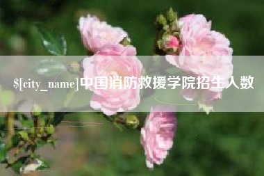 温州中国消防救援学院招生人数