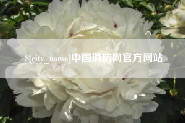 温州中国消防网官方网站
