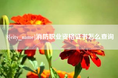 温州消防职业资格证书怎么查询