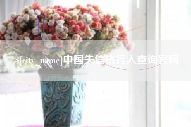 温州中国失信执行人查询官网