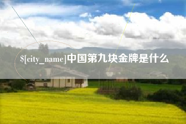 温州中国第九块金牌是什么