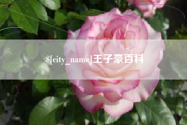 温州王子豪百科
