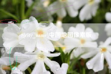温州中国地图像素版