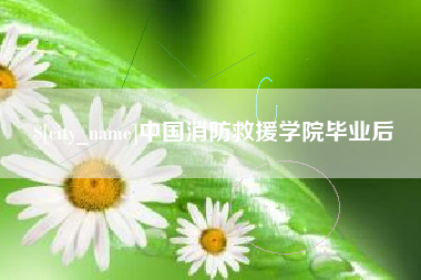 温州中国消防救援学院毕业后
