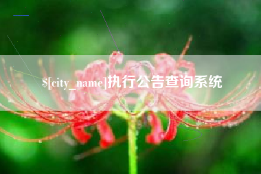 温州执行公告查询系统
