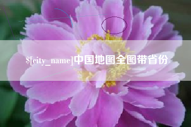 温州中国地图全图带省份