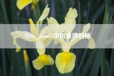 温州中国金牌包括