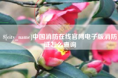 温州中国消防在线官网电子版消防证怎么查询