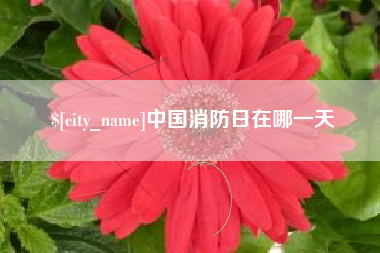 温州中国消防日在哪一天