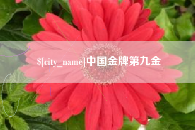 温州中国金牌第九金