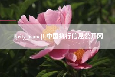 温州1.中国执行信息公开网