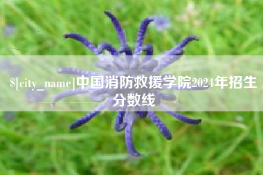 温州中国消防救援学院2024年招生分数线