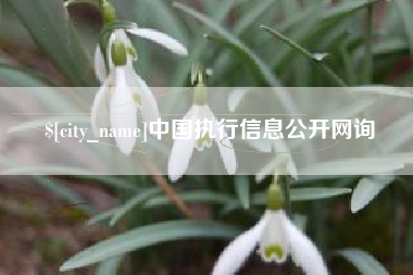 温州中国执行信息公开网询