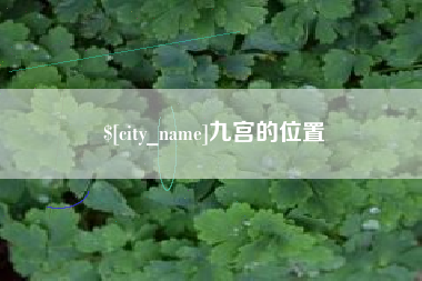 温州九宫的位置
