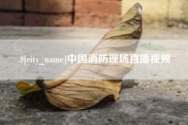 温州中国消防现场直播视频