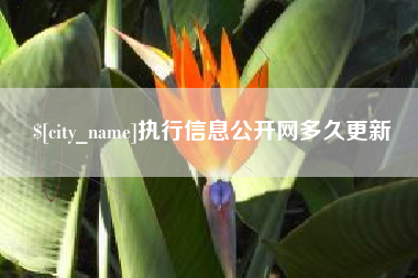温州执行信息公开网多久更新