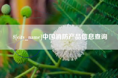 温州中国消防产品信息查询