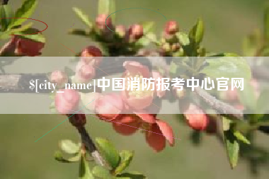 温州中国消防报考中心官网