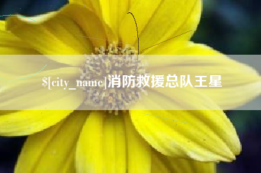 温州消防救援总队王星