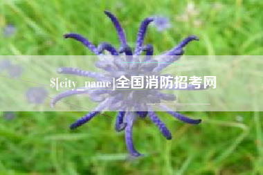 温州全国消防招考网