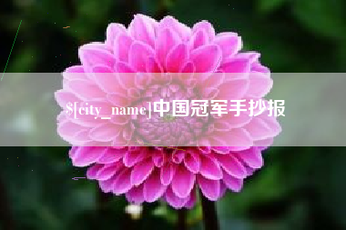 温州中国冠军手抄报