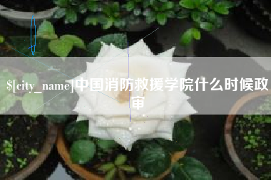温州中国消防救援学院什么时候政审