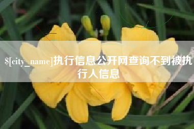 温州执行信息公开网查询不到被执行人信息