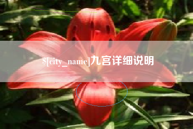 温州九宫详细说明