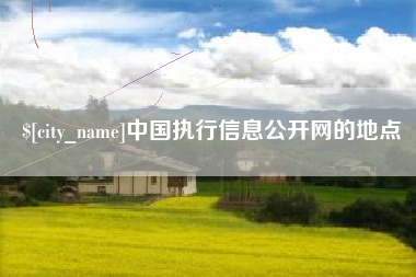 温州中国执行信息公开网的地点