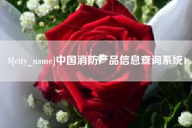 温州中国消防产品信息查询系统1