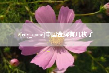 温州中国金牌有几枚了