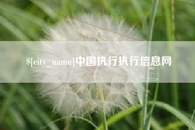 温州中国执行执行信息网