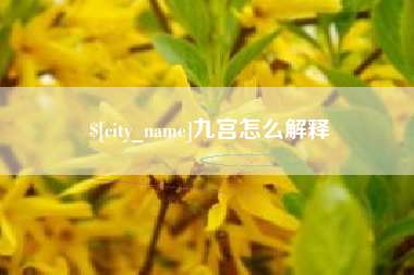 温州九宫怎么解释