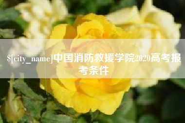 温州中国消防救援学院2020高考报考条件