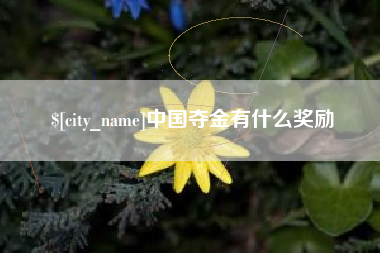 温州中国夺金有什么奖励