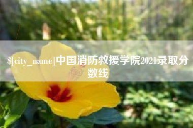 温州中国消防救援学院2021录取分数线