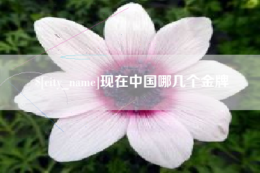温州现在中国哪几个金牌