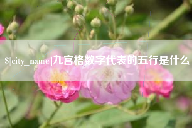 温州九宫格数字代表的五行是什么